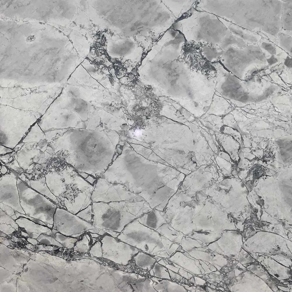 Meet your Posher, Lyla